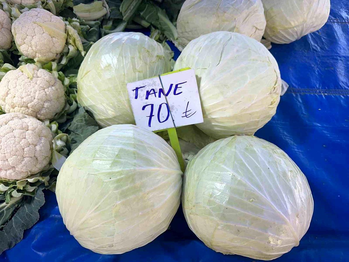 Beyaz lahanada ne çiftçi kazandı ne de tüketici ucuza yedi