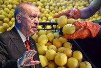 Fiyatı 100 lirayı aşmıştı, Erdoğan el attı! Limon ithalatında yeni karar