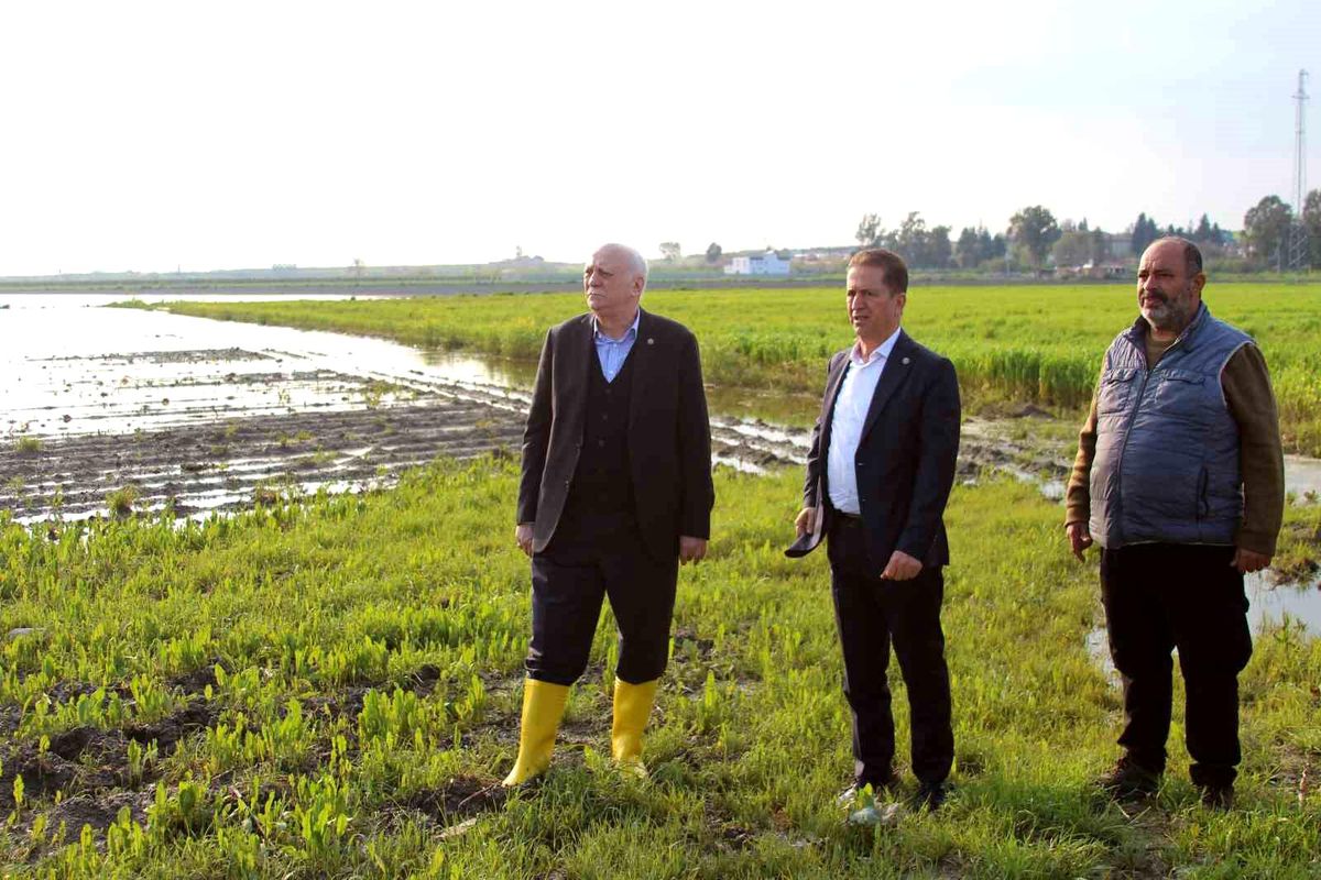 TZOB Genel Başkanı Bayraktar: "Üreticilerimize muhakkak nakdi yardım yapılması gerekiyor"