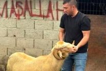 Burhaniye'de kurbanlıklar satışa çıktı - Haberler