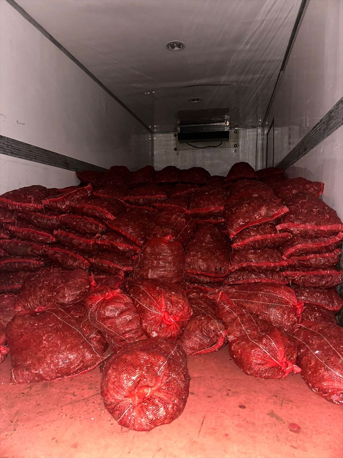 Bursa ve Balıkesir'de yapılan operasyonda 10 ton kaçak midye ele geçirildi