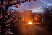 Erzincan'da çiftçiler don nöbetinde - Haberler