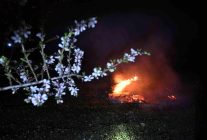 Manisa'da don nöbeti - Haberler