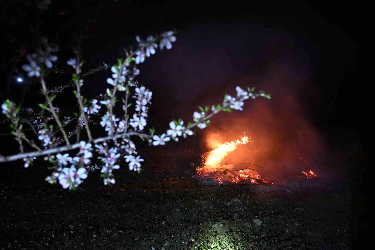 Manisa'da don nöbeti - Haberler