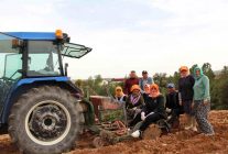 Poşusunu takan Kaymakam Kuran üreticilerle birlikte kekik dikti