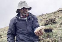 2 bin rakımda yetişen çaşır mantarı altınla yarışıyor