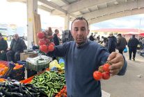 Domates fiyatlarının yüksek olmasının sebebi soğuk hava