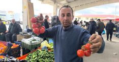 Domates fiyatlarının yüksek olmasının sebebi soğuk hava