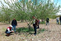 Elazığ'da dolu sonrası hasar tespiti yapıldı