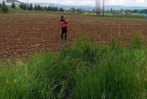 Gediz'de referans parsel tespit çalışmaları