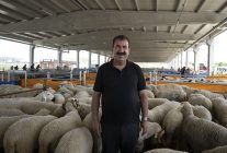 TÜRKYED Genel Başkanı Çelik: "Vatandaşlarımız vekalet verdiği kurumun kurban kesimini İslami usullere uygun gerçekleştirdiğinden emin olmalıdır"