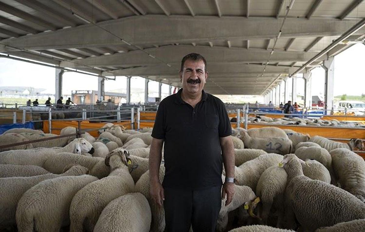 TÜRKYED Genel Başkanı Çelik: "Vatandaşlarımız vekalet verdiği kurumun kurban kesimini İslami usullere uygun gerçekleştirdiğinden emin olmalıdır"