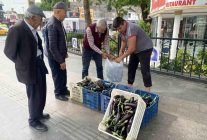 Ürettiği patlıcanlar maliyetini kurtarmayınca serasının kapılarını vatandaşlara açtı