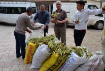 Yaylalardan toplandı, tezgâhlarda satışa sunuldu