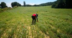 Gediz'de referans parsel seçimi ve beyan kontrolleri yapıldı