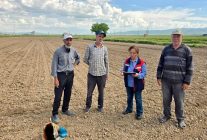 Turşuluk lahana ve dane mısır dikim ve ekim işlemleri devam ediyor