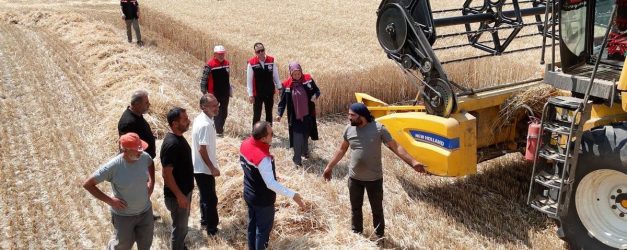 Erzincan’da buğday hasadı sürüyor, biçerdöverler denetlendi