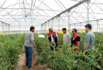 Erzincan'da seracılık faaliyetleri yerinde incelendi