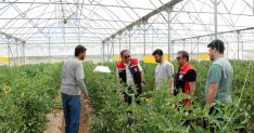 Erzincan'da seracılık faaliyetleri yerinde incelendi
