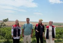 İpsala'da mavi yemiş hasat ediliyor
