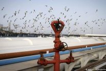Irak'tan Türkiye'ye yeni petrol boru hattı