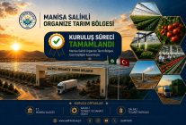 Jeotermal seracılıkta Manisa atağa geçti