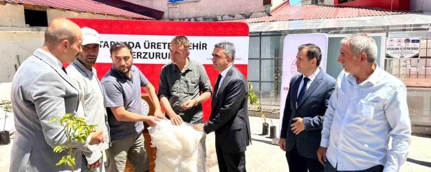 Pazaryolu'nda üreticilere bin meyve fidanı ve 11 sera naylonu desteği