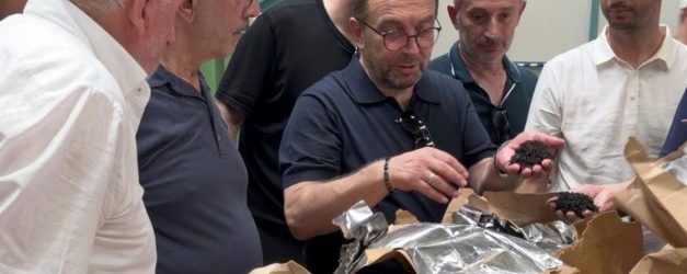 Rize'den Azerbaycan'a çay çıkarması - Haberler
