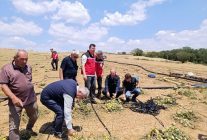 TARSİM Genel Müdürü Engürülü, Tekirdağ'da doludan zarar gören tarım alanlarını inceledi