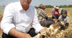 Altun’dan tarım mesajı - Haberler