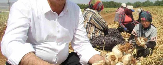 Altun’dan tarım mesajı - Haberler