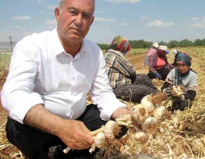 Altun’dan tarım mesajı - Haberler
