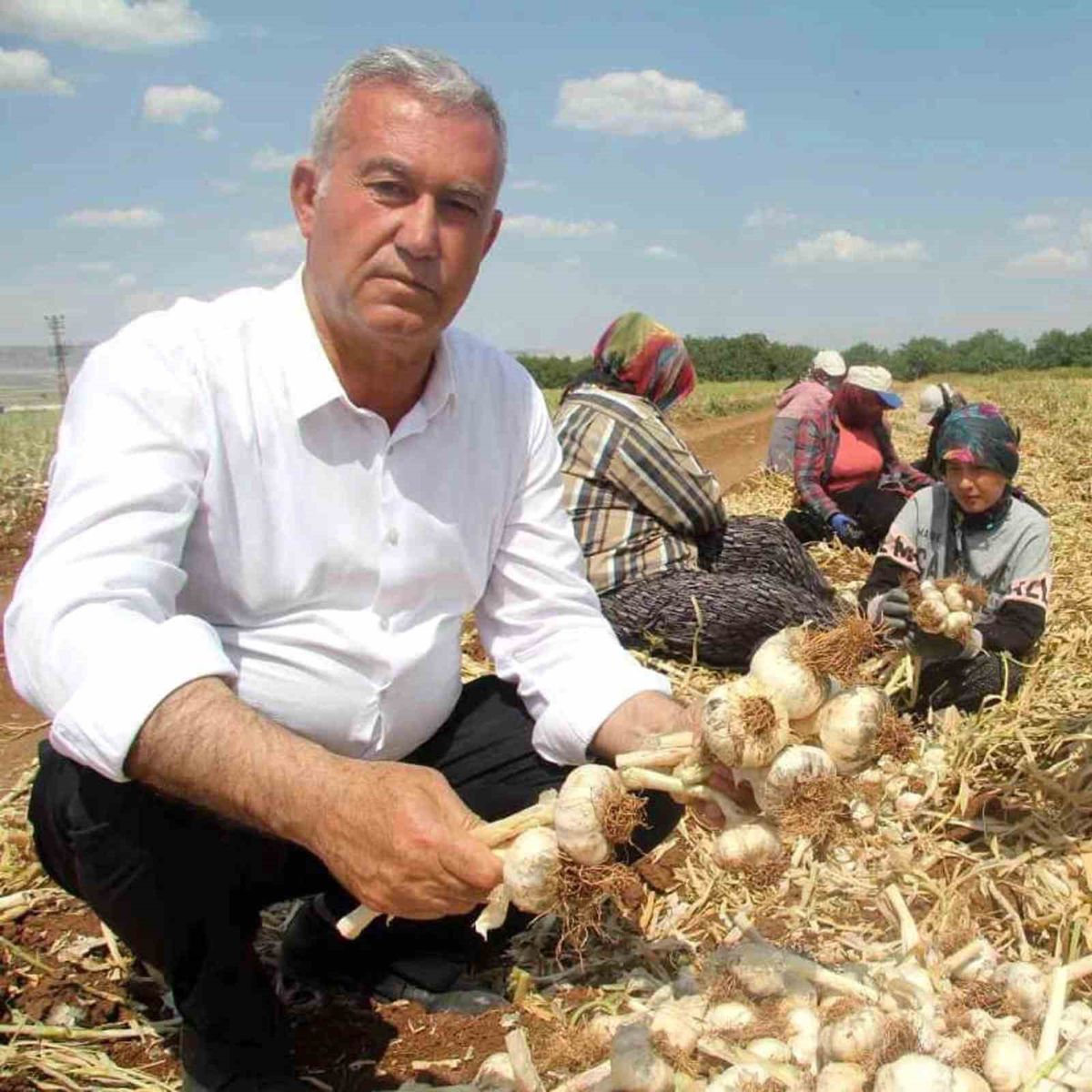 Altun’dan tarım mesajı - Haberler