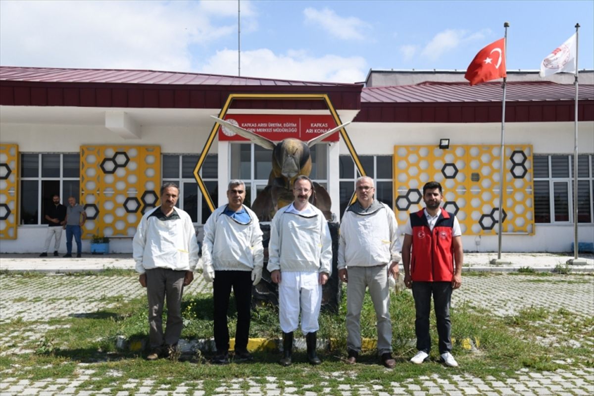 Ardahan'da 2026 İlk Bal Hasadı Yapıldı