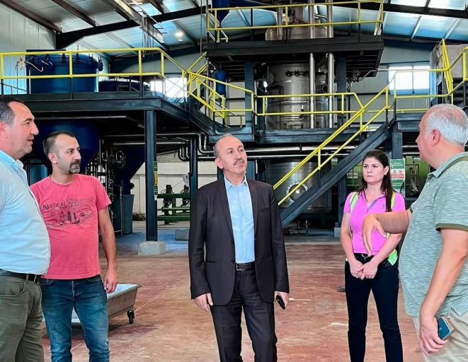 Balıkesir'de zeytin hasadı öncesi verimli sezon beklentisi
