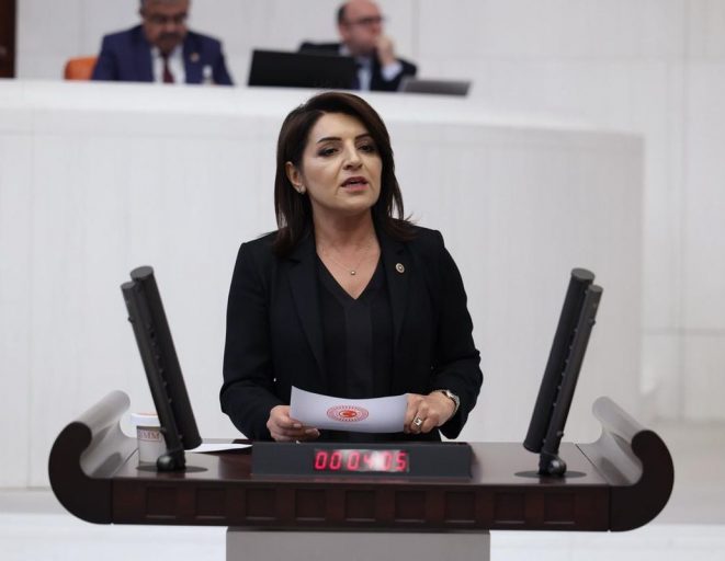 Gülcan Kış: "Vatandaş artık geleceğini planlamıyor, bir sonraki kredi kartı son ödeme tarihini hesaplıyor"