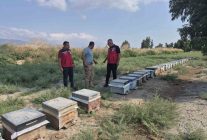 Hatay'da Arıcılık İşletmesine Bal Sağım Sezonu Ziyareti