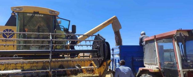 Kütahya’da yerli ve milli tohumlarda nohut hasadı gerçekleştirildi