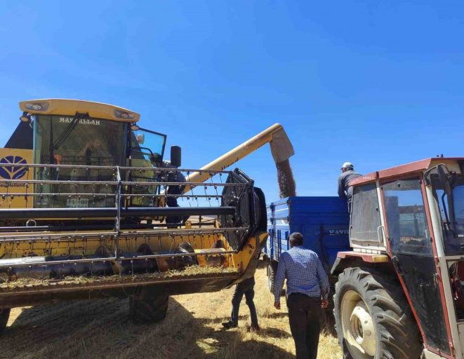 Kütahya’da yerli ve milli tohumlarda nohut hasadı gerçekleştirildi