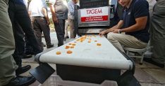 Malatya'da günde 2 ton kayısı ayıklayan makine geliştirildi