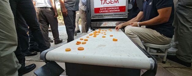 Malatya'da günde 2 ton kayısı ayıklayan makine geliştirildi