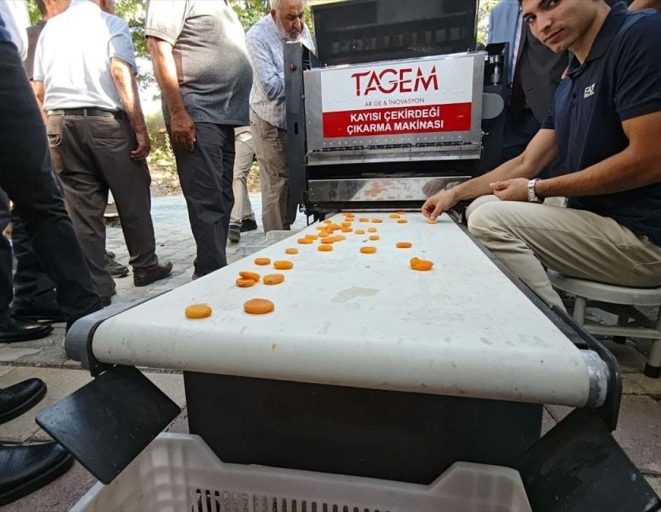 Malatya'da günde 2 ton kayısı ayıklayan makine geliştirildi