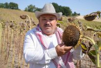 Trakya'da Ayçiçeği Hasadında Bereket - Haberler