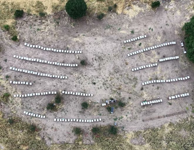 Tunceli'de Bal Sağım Sezonu Başladı: Arıcıların Emeği Sofralara Ulaşıyor