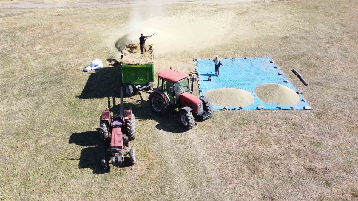 Yozgat’ta mercimek hasadının ardından patoz mesaisi başladı