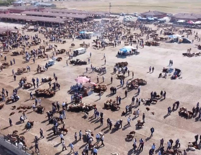 Ağrı'da şap nedeniyle İl Hayvan Borsası 18 Ekim'den itibaren 30 gün kapatıldı