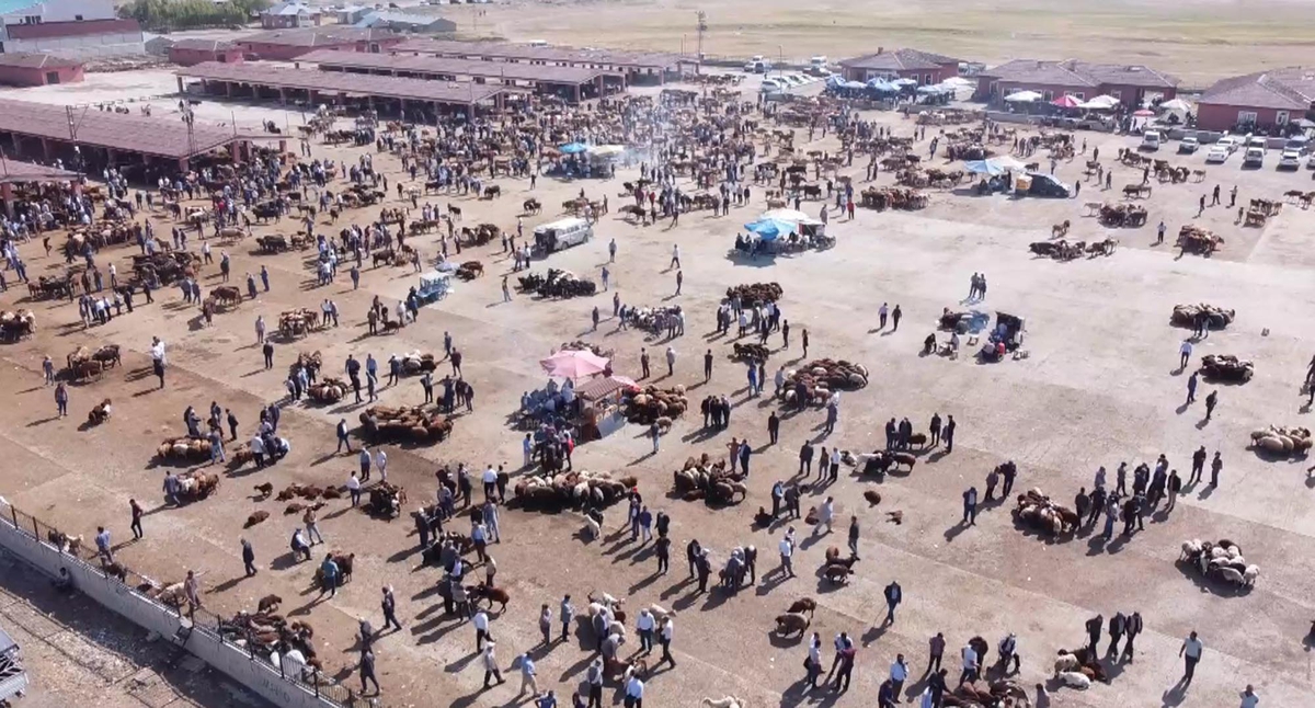 Ağrı'da şap nedeniyle İl Hayvan Borsası 18 Ekim'den itibaren 30 gün kapatıldı