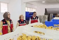 Aydın İnciri için Nazilli’deki tesislerde denetimler aralıksız sürüyor