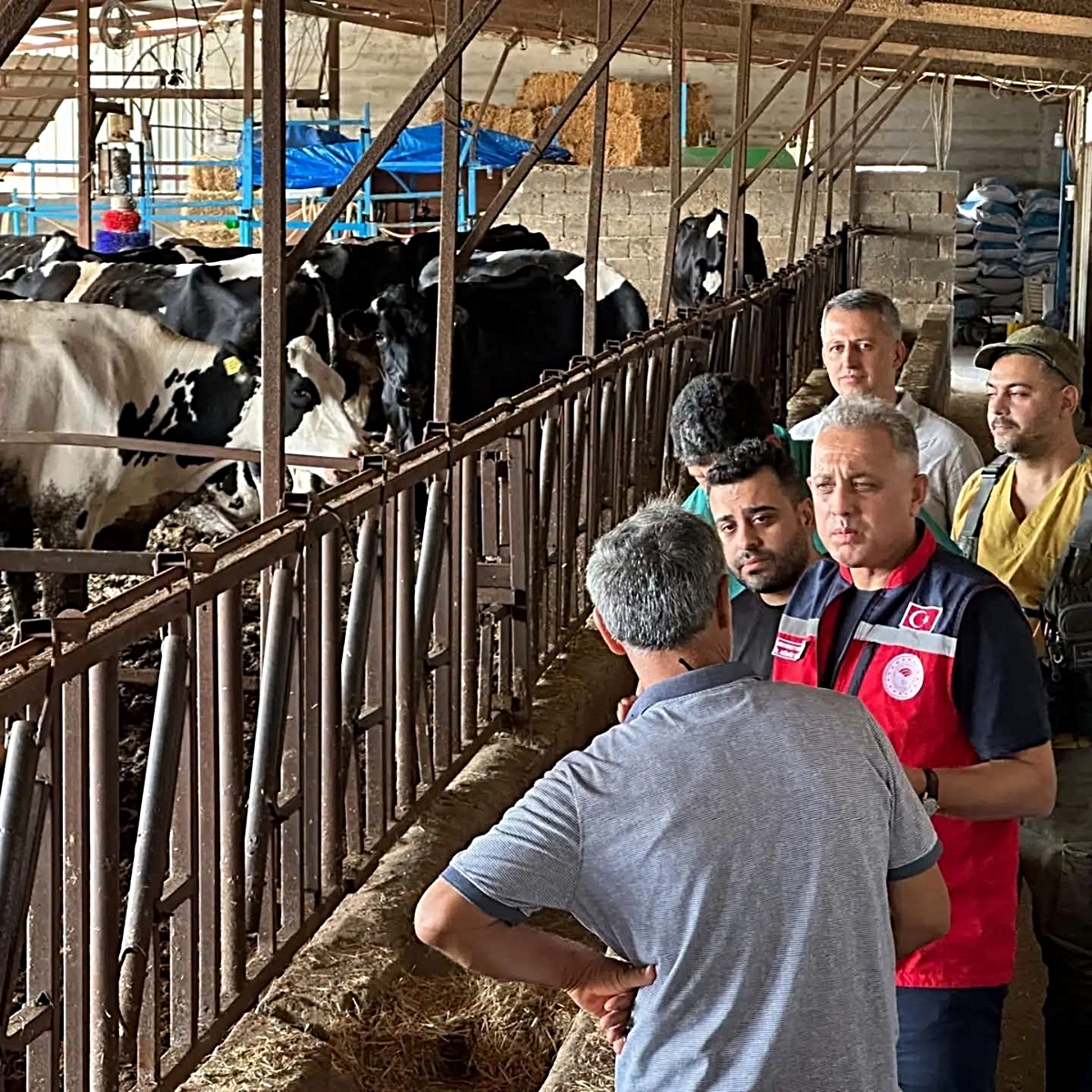 Hatay Altınözü'ndeki hayvancılık işletmesine Hastalıktan Ari İşletme Modeli anlatıldı