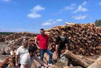 Hatay Orman Bölge Müdürü Günay, Sahil Orman Deposu'nda barkodlu ürünleri inceledi